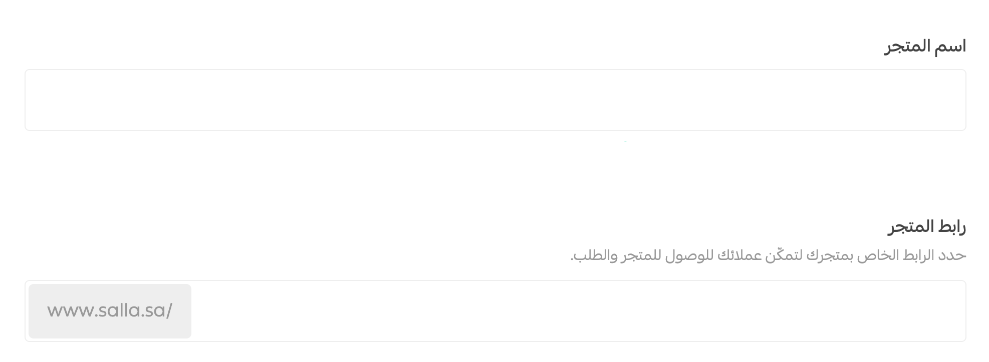 Entering the store name and URL in Salla