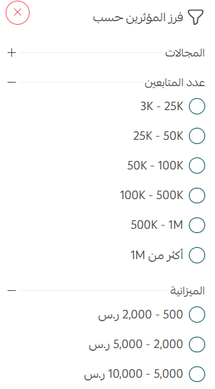 Filtering influencers by niche, follower count and budget in Salla