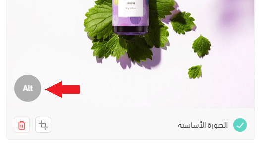Alt button to add alt text to a product image in Salla